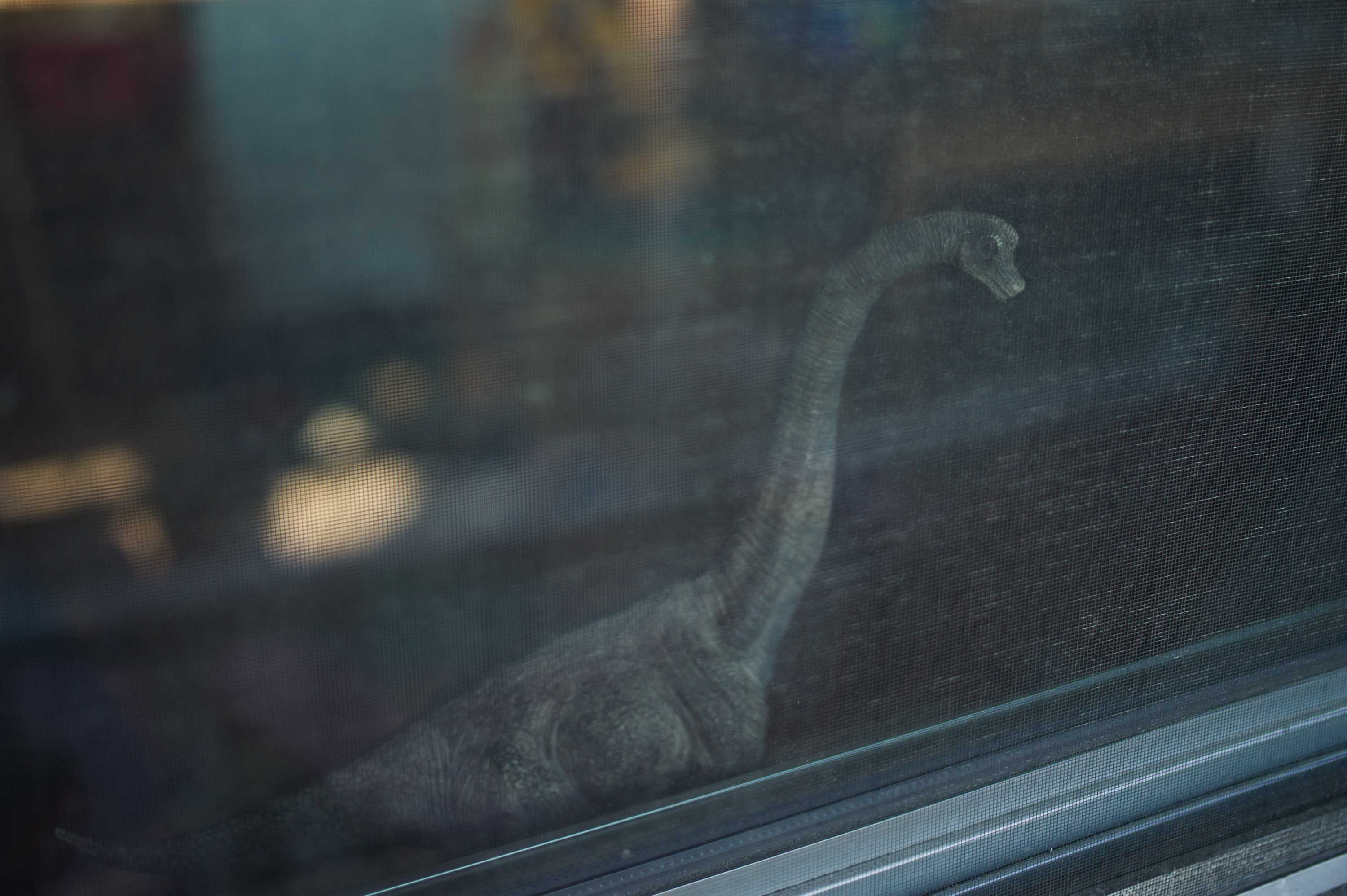 Brooklyn, NY (Brachiosaurus) 2014